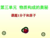 3.1分子和原子 课件-2023-2024学年人教版化学九年级上册