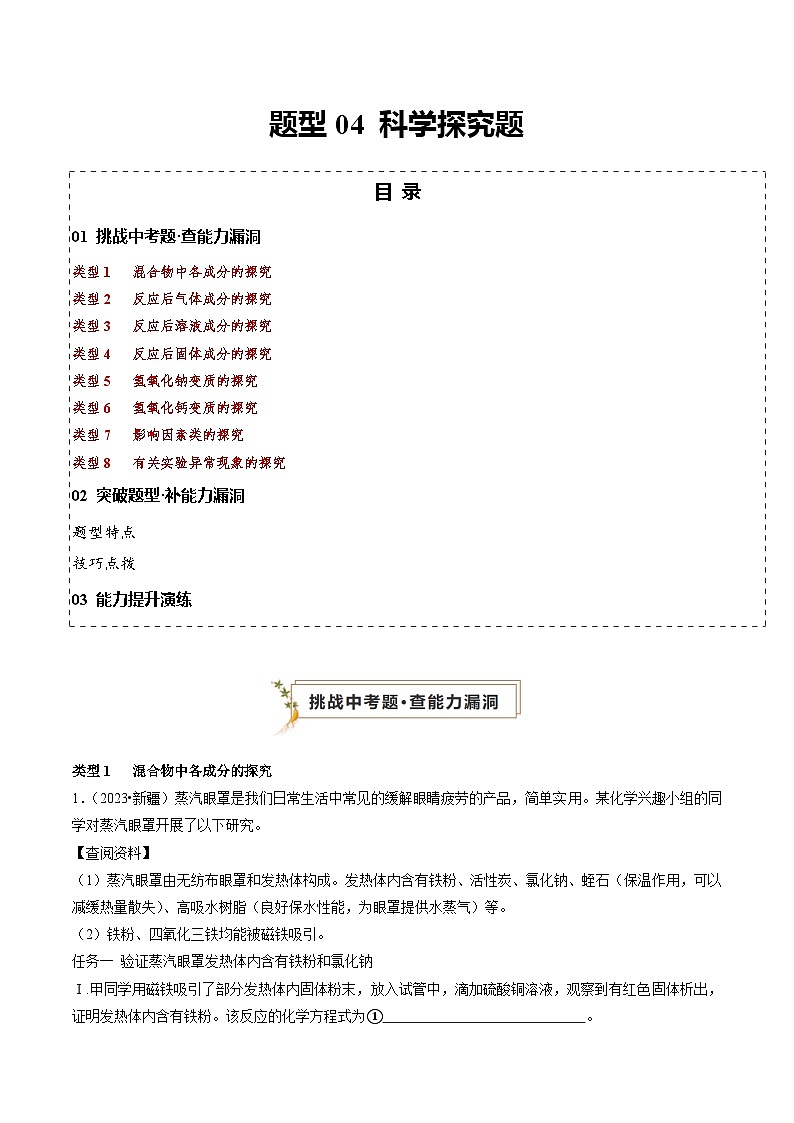 题型04 科学探究题（原卷版）第1页