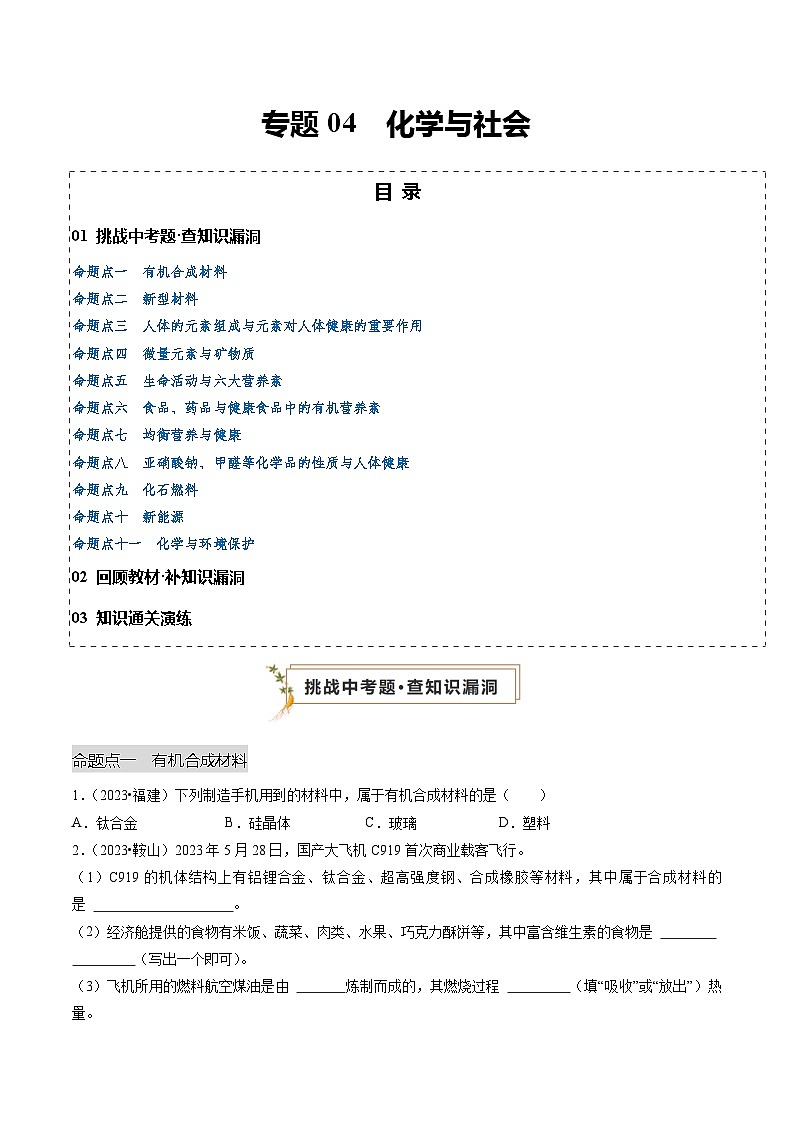 专题04 化学与社会（原卷版）第1页