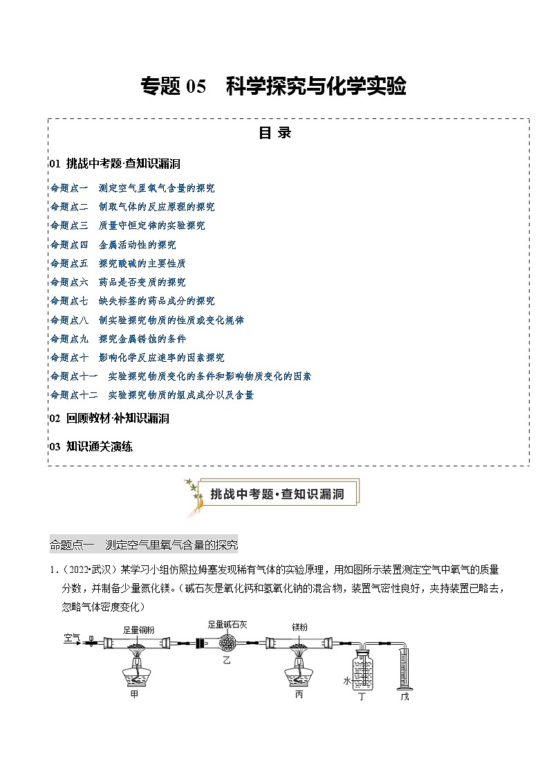专题05  科学探究与化学实验 （原卷版）第1页
