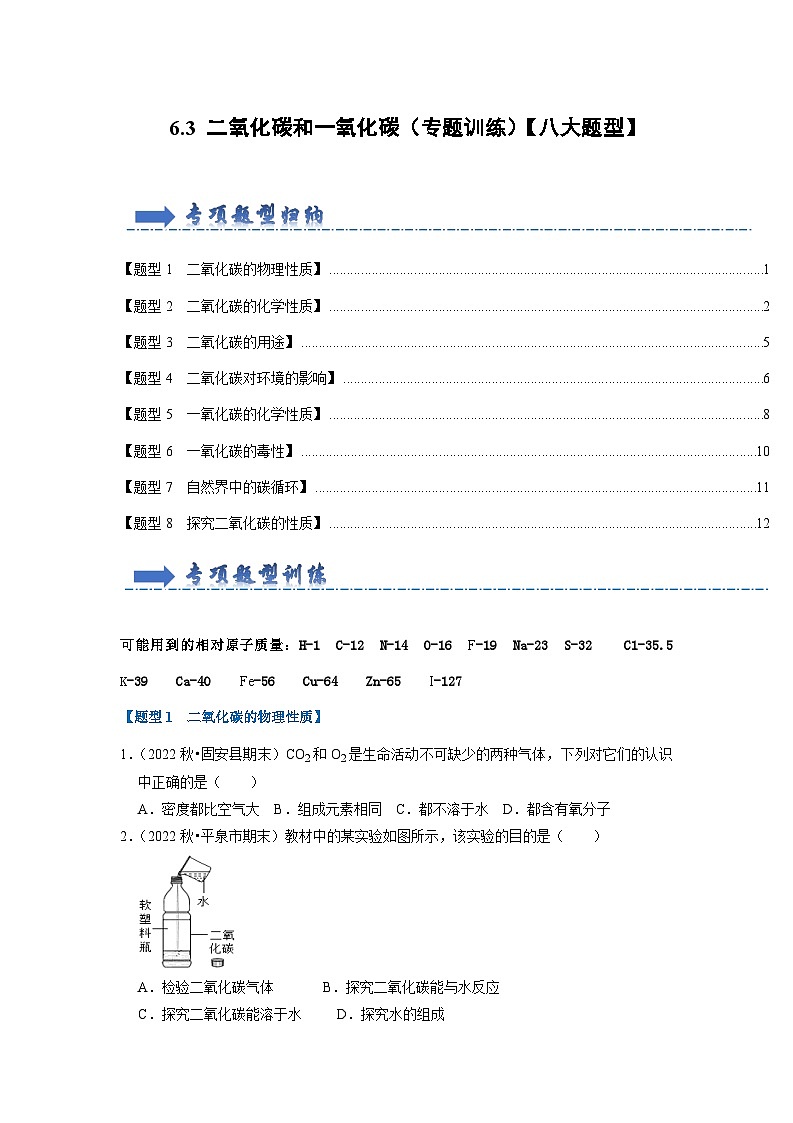 6.3 二氧化碳和一氧化碳（专题训练）【八大题型】（原卷版）第1页
