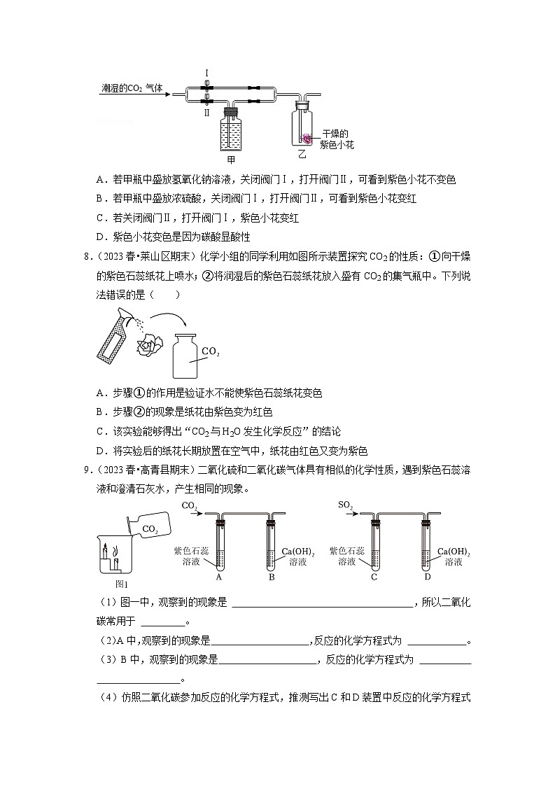 6.3 二氧化碳和一氧化碳（专题训练）【八大题型】（原卷版）第3页