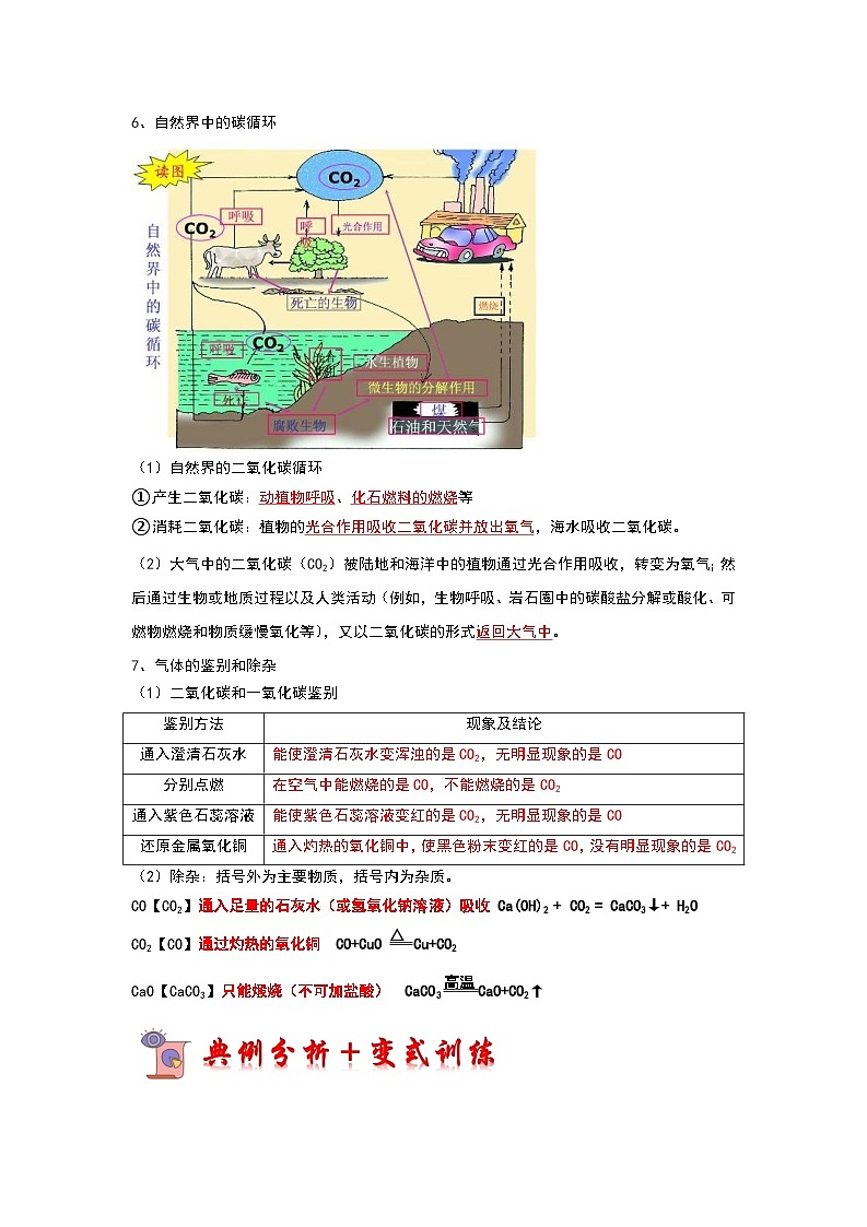 2024年人教版化学九年级上册6.3 二氧化碳和一氧化碳（第2课时）（考点解读）（原卷版+解析版）03