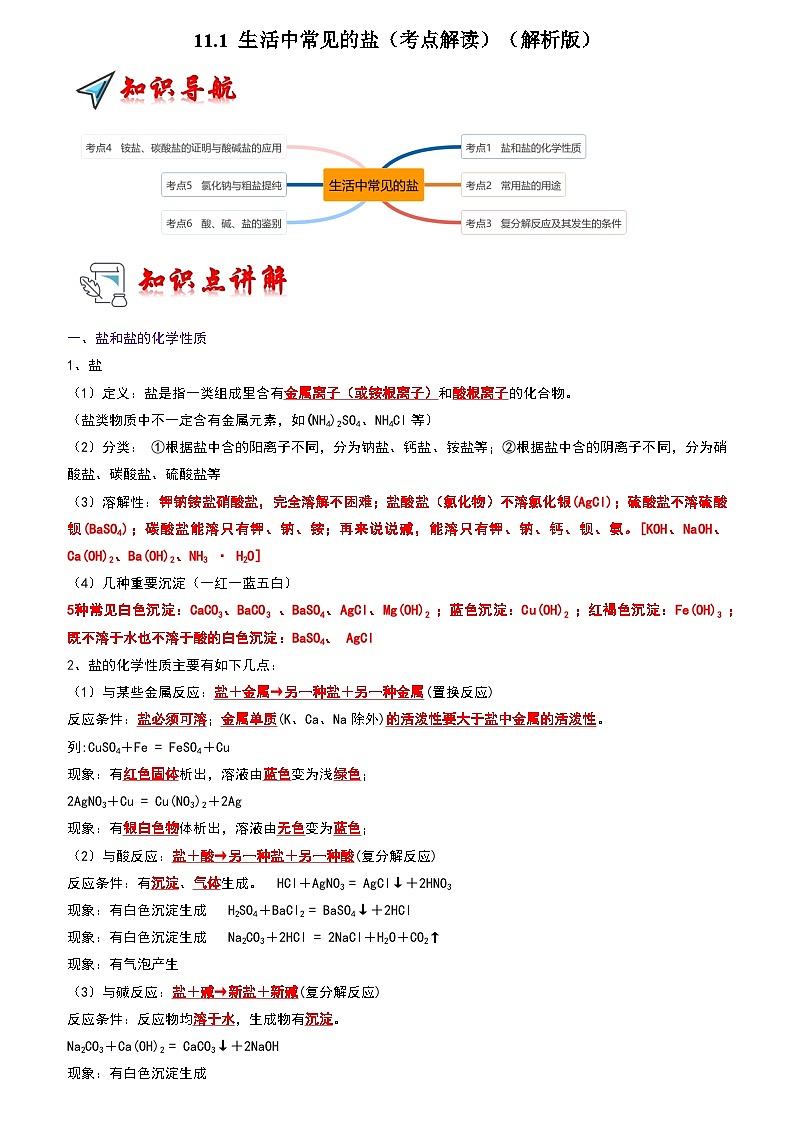 11.1 生活中常见的盐（考点解读）（解析版）第1页