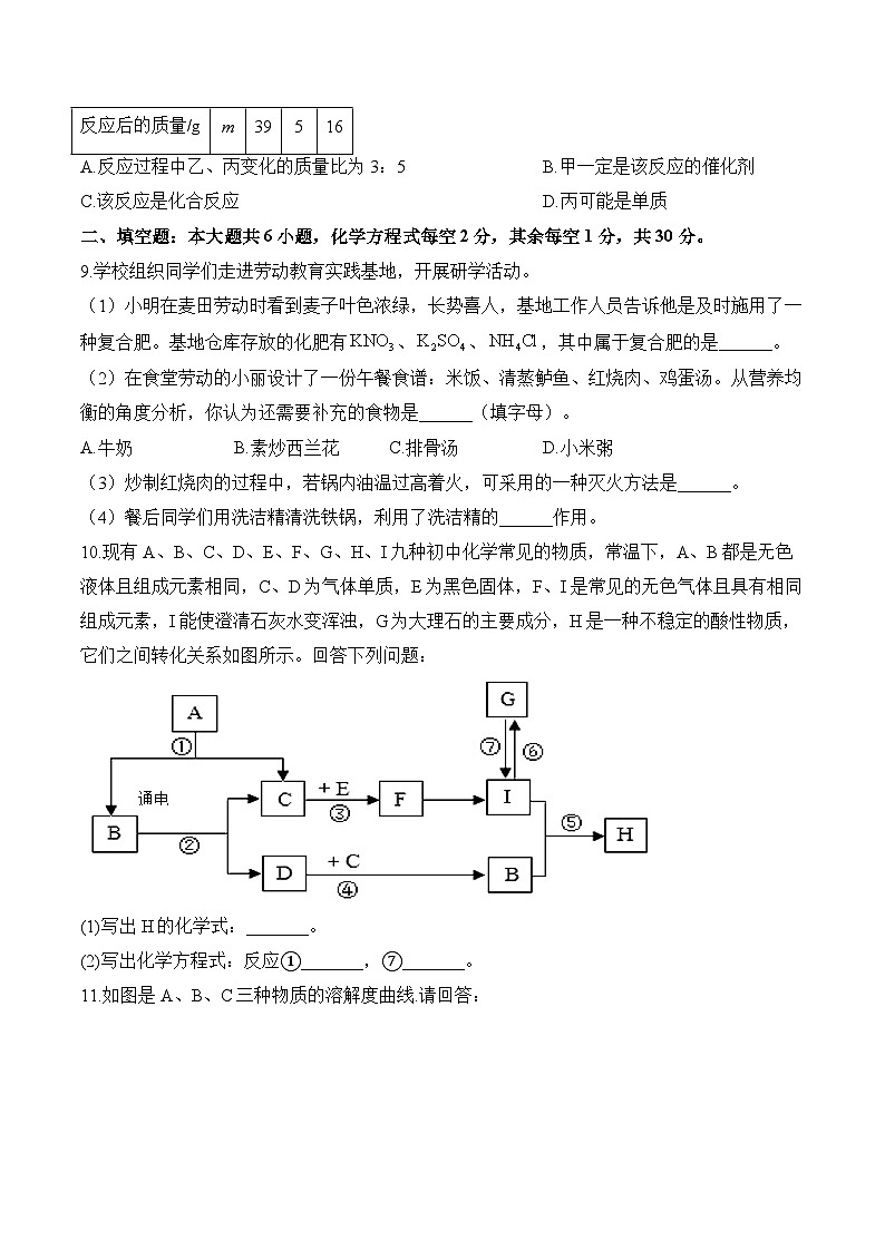 2024届中考化学模拟五月冲刺卷 【西藏专用】02