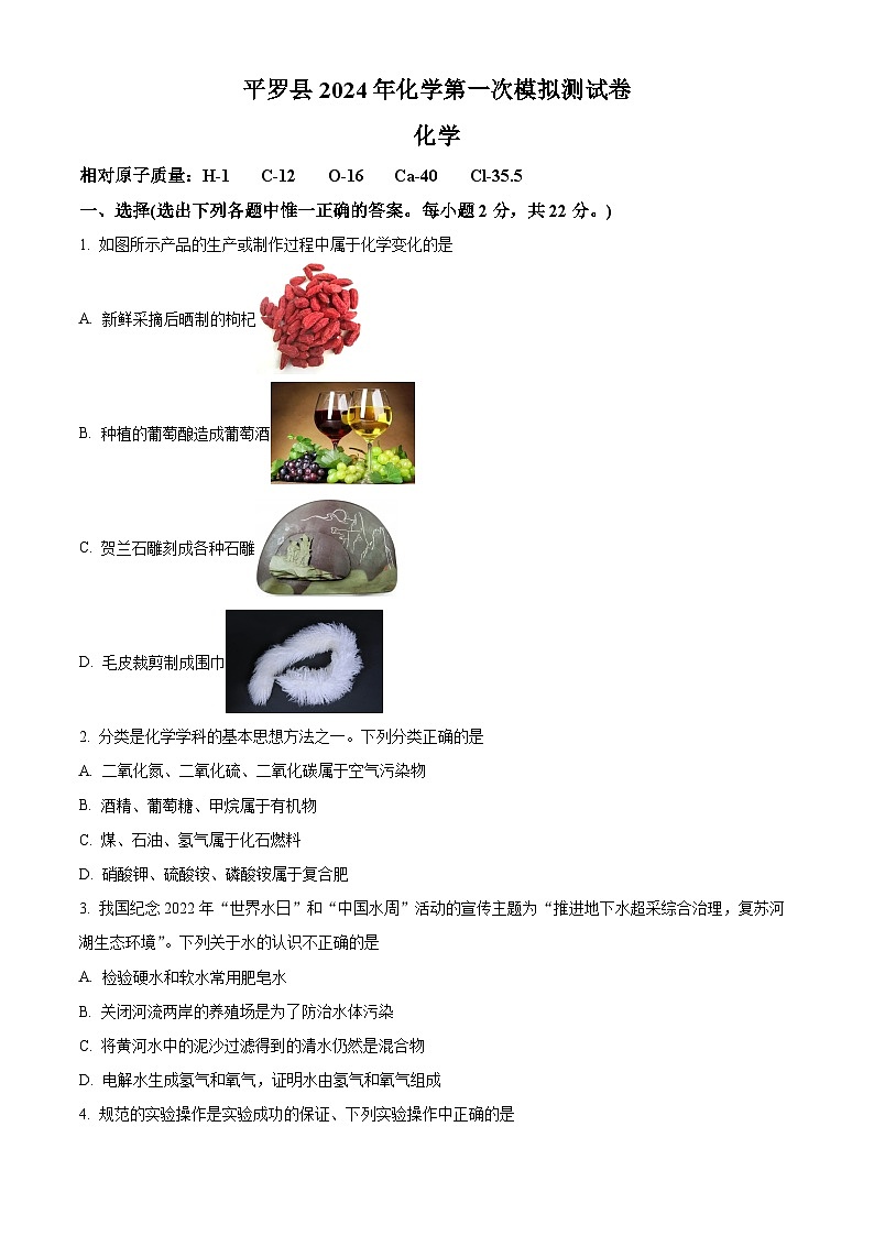 2024年宁夏石嘴山市平罗县中考一模化学试题（原卷版）第1页