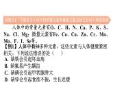 人教版九年级化学第十二单元复课件