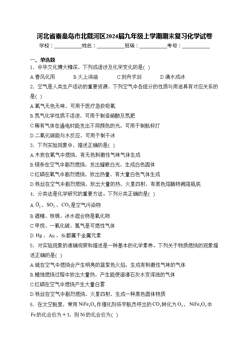 河北省秦皇岛市北戴河区2024届九年级上学期期末复习化学试卷(含答案)第1页