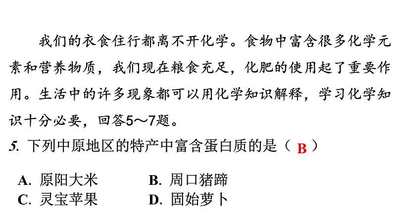 人教版九年级化学下册过关训练课件第6页