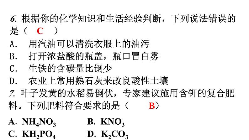 人教版九年级化学下册过关训练课件第7页