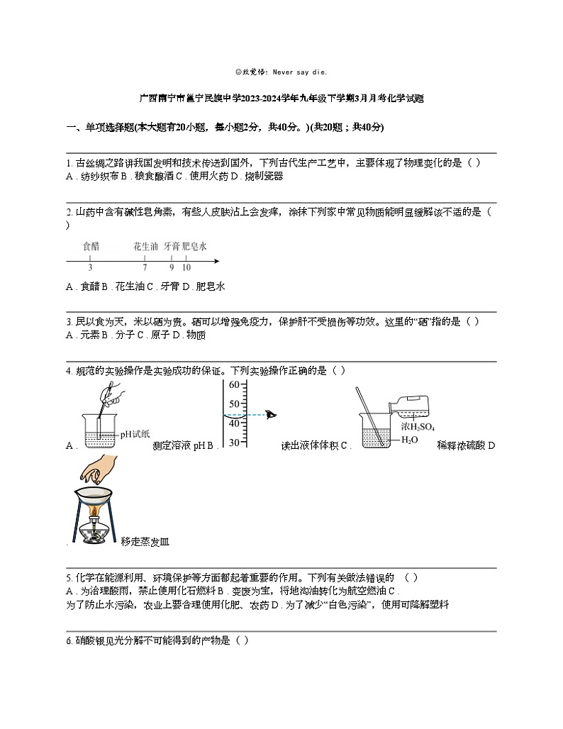 广西南宁市邕宁民族中学2023-2024学年九年级下学期3月月考化学试题01