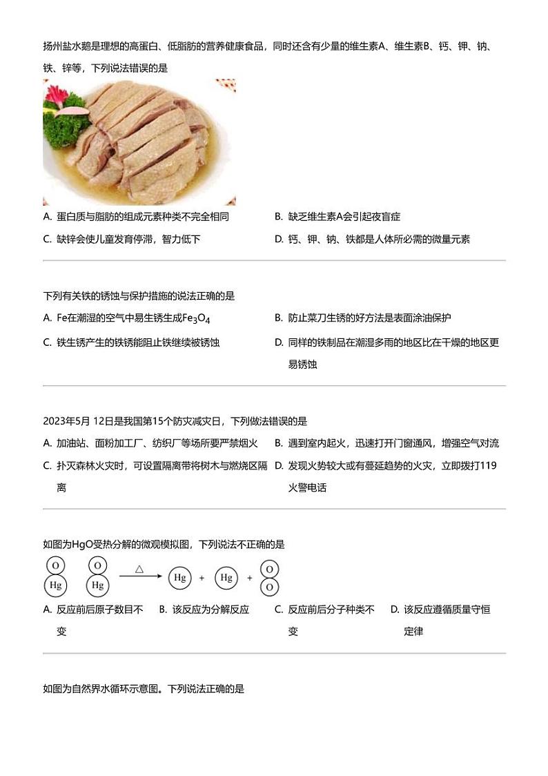 2024年江苏扬州邗江区梅岭中学教育集团中考二模化学试卷02