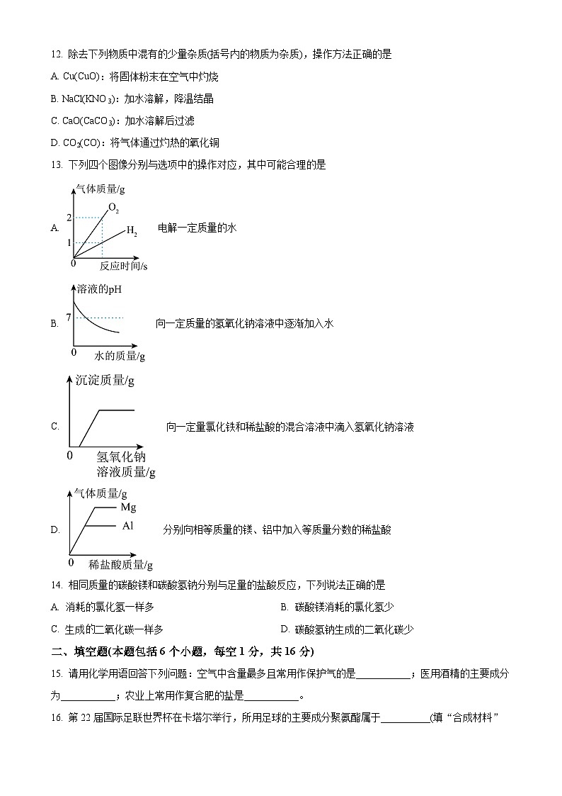 2024年河南省周口市沈丘县中考二模化学试题（原卷版）第3页