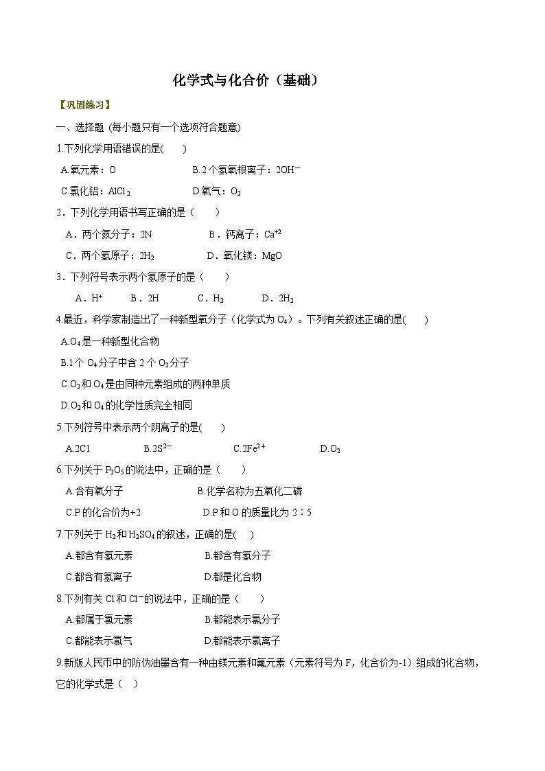 化学人教版九上高效讲练系列20 化学式与化合价（基础） 巩固练习01