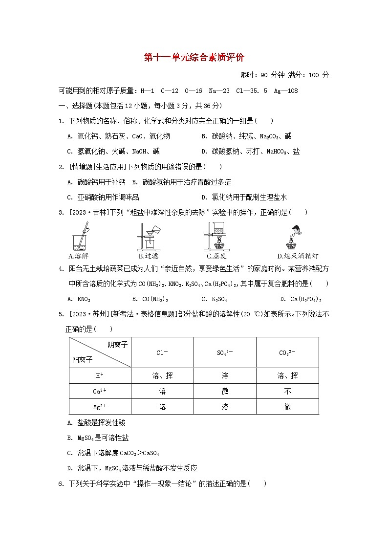 2024九年级化学下册第十一单元盐化肥综合素质评价试卷（附答案人教版）第1页