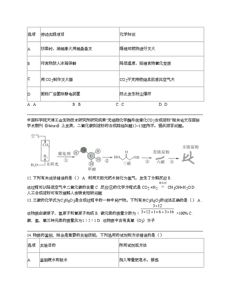 广东省河源市龙川县老隆学校2023-2024学年九年级上学期期末化学试题第3页