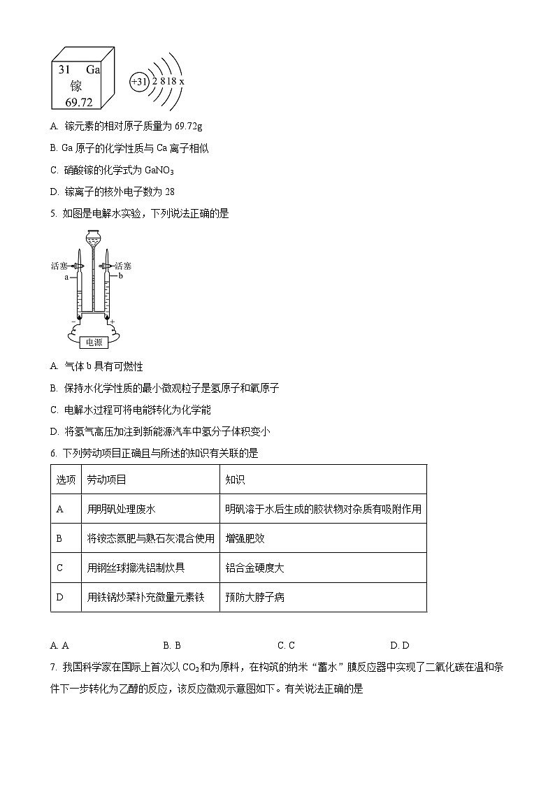 2024年广东省广州市广雅中学中考化学模拟试卷（学生版）第2页