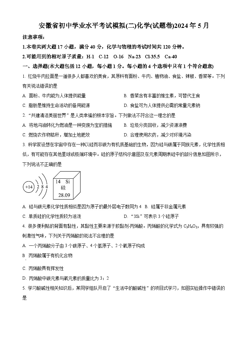 2024年安徽省合肥市寿春中学中考三模化学试卷 （学生版+教师版 ）01