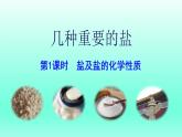 第7章应用广泛的酸碱盐第3节几种重要的盐第1课时盐及盐的化学性质课件（沪教版）
