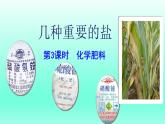 第7章应用广泛的酸碱盐第3节几种重要的盐第3课时化学肥料课件（沪教版）