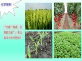 第7章应用广泛的酸碱盐第3节几种重要的盐第3课时化学肥料课件（沪教版）