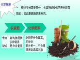 第7章应用广泛的酸碱盐第3节几种重要的盐第3课时化学肥料课件（沪教版）