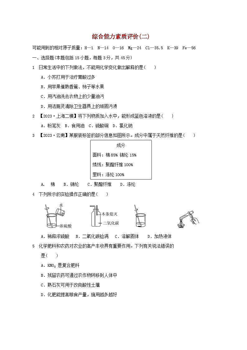 2024九年级化学下学期综合能力素质评价二试卷（附答案沪教版）01