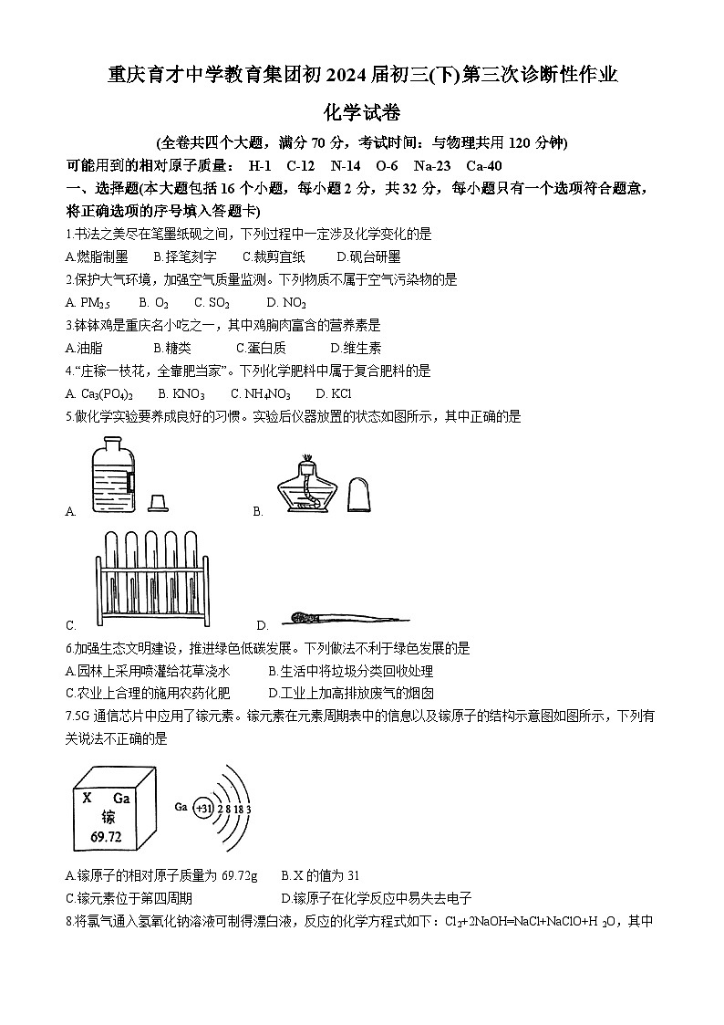 10，2024年重庆市育才中学校中考三诊化学试卷(无答案)第1页