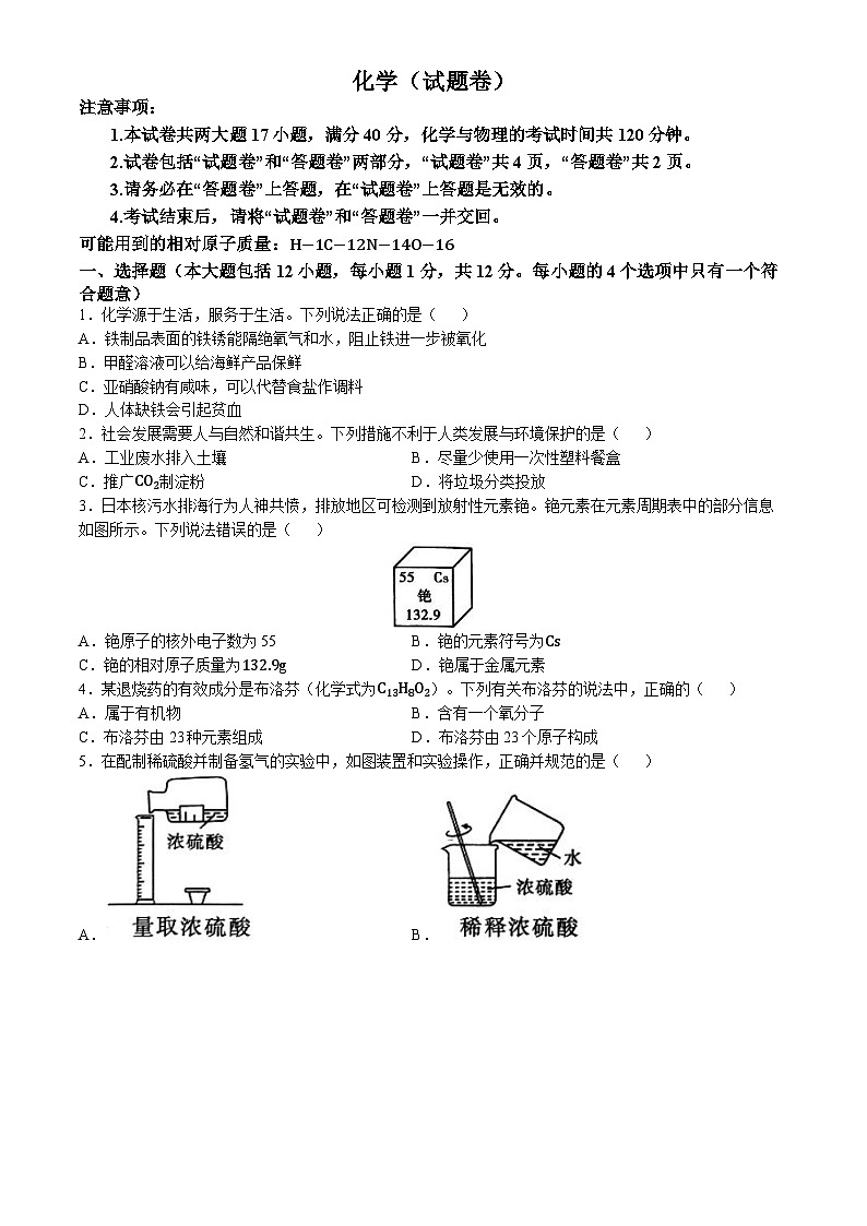 19，2024年安徽阜阳市重点中学中考三模卷化学试卷01