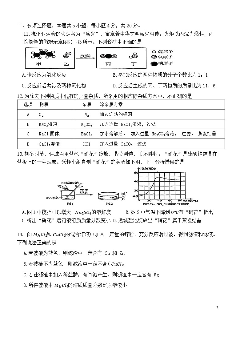 2024年山东省济南市舜耕中学中考三模化学试题第3页