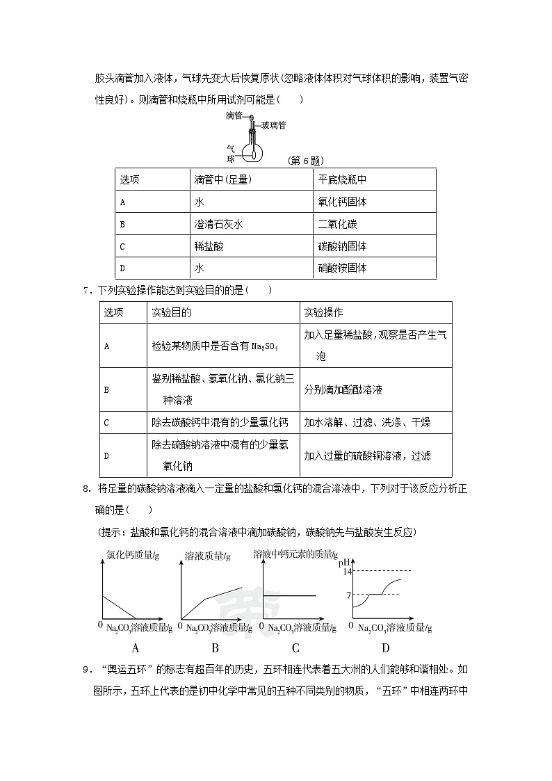 陕西省2024九年级化学下册第八章常见的酸碱盐学情评估试卷（附答案科粤版）02