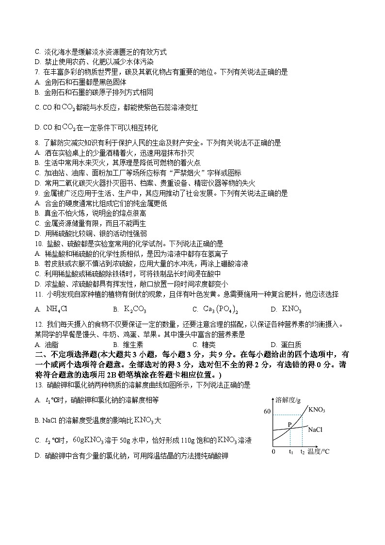 2024年湖南师大附中教育集团中考全真模拟考试（一模）中考化学试卷（原卷及解析版）02