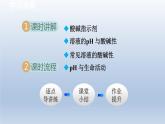 2024九年级化学下册第8章常见的酸碱盐8.1溶液的酸碱性课件（科粤版）
