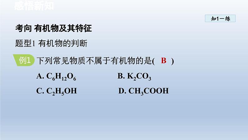 2024九年级化学下册第9章现代生活与化学9.1有机物的常识课件（科粤版）第8页