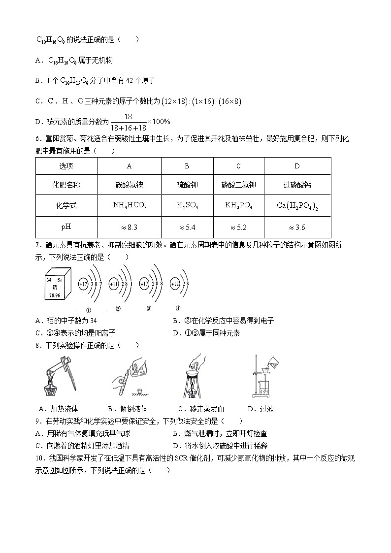2024年广东省阳江市江城区中考二模化学试题02