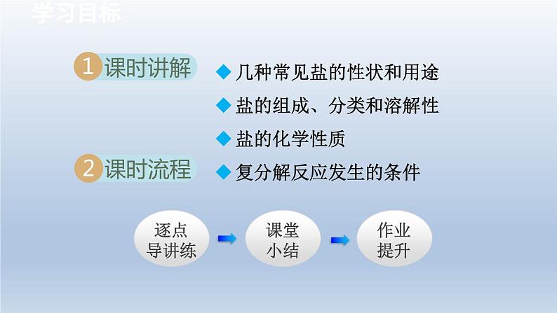 2024九年级化学下册第8章常见的酸碱盐8.4常见的盐课件（科粤版）02