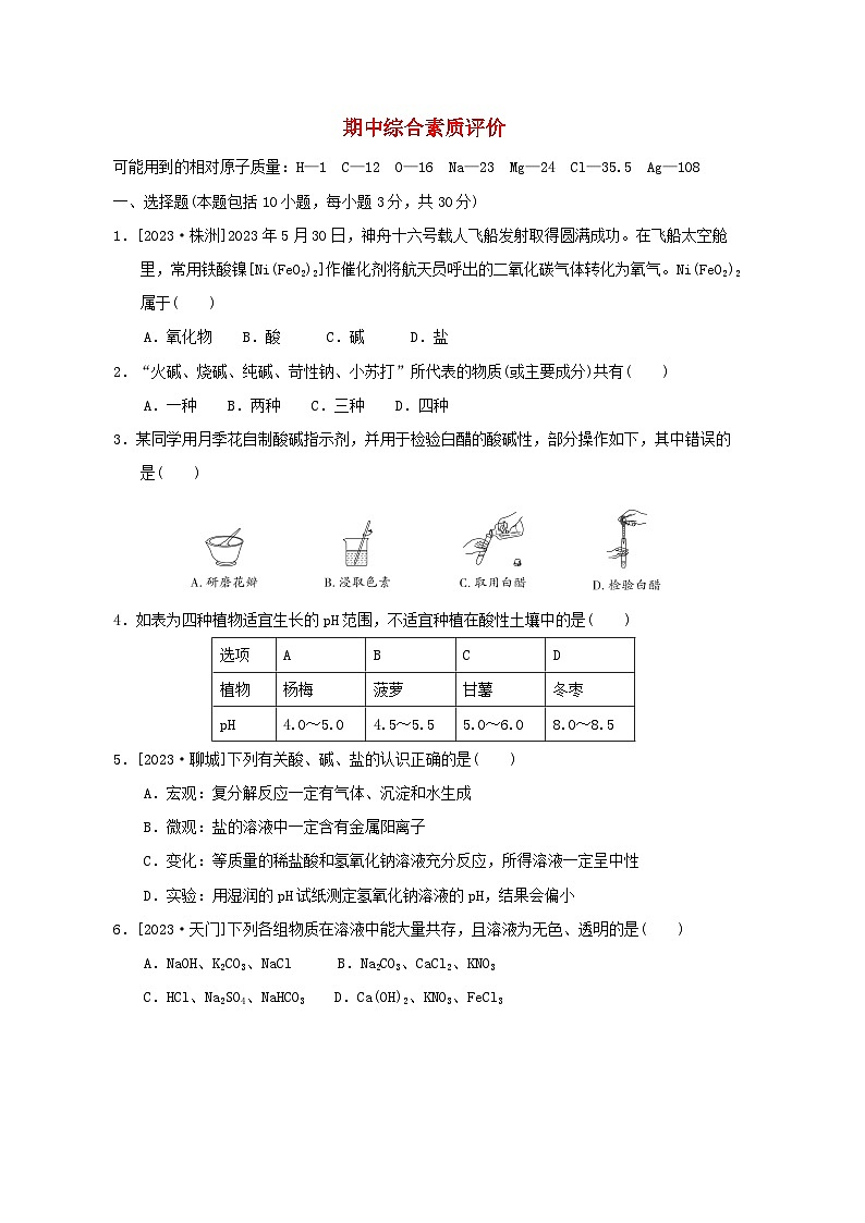 2024九年级化学下学期期中综合素质评价试卷（附答案鲁教版）01