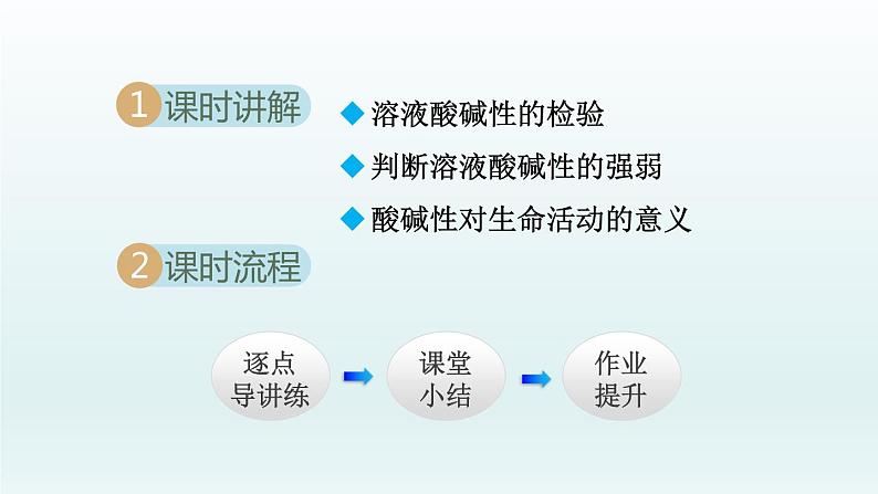 2024九年级化学下册第7单元常见的酸和碱7.3溶液的酸碱性课件（鲁教版）02