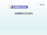 2024九年级化学下册第7单元常见的酸和碱7.3溶液的酸碱性课件（鲁教版）