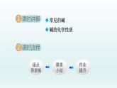 2024九年级化学下册第7单元常见的酸和碱7.2碱及其性质课件（鲁教版）