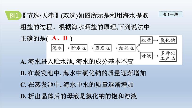 2024九年级化学下册第8单元海水中的化学8.2海水“晒盐“课件（鲁教版）08