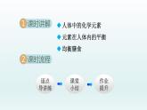 2024九年级化学下册第10单元化学与降10.2化学元素与人体健康课件（鲁教版）