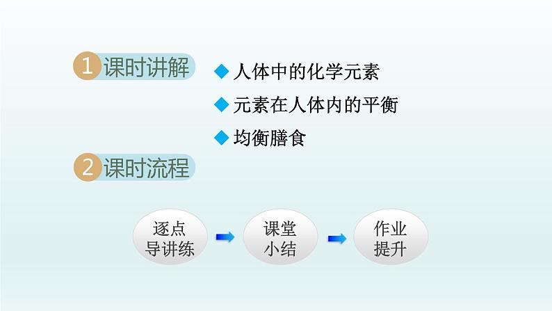 2024九年级化学下册第10单元化学与降10.2化学元素与人体健康课件（鲁教版）02