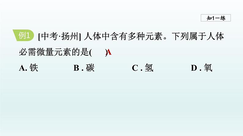 2024九年级化学下册第10单元化学与降10.2化学元素与人体健康课件（鲁教版）08