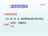 2024九年级化学下册第10单元化学与降10.3远离有毒物质课件（鲁教版）
