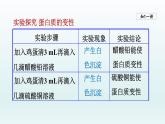 2024九年级化学下册第10单元化学与降10.3远离有毒物质课件（鲁教版）