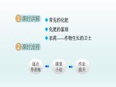 2024九年级化学下册第11单元化学与社会发展11.3化学与农业生产课件（鲁教版）
