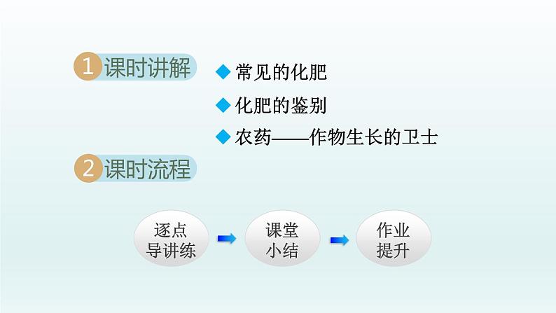 2024九年级化学下册第11单元化学与社会发展11.3化学与农业生产课件（鲁教版）第2页