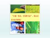 2024九年级化学下册第11单元化学与社会发展11.3化学与农业生产课件（鲁教版）