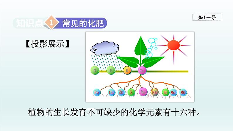 2024九年级化学下册第11单元化学与社会发展11.3化学与农业生产课件（鲁教版）第4页